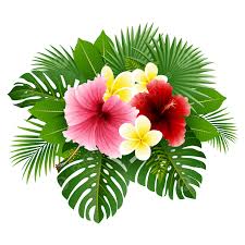 Tropical Flower
